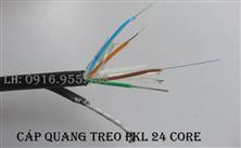 TELVINA Cáp quang treo kim loại hình số 8 một lớp vỏ bọc (dây thuê bao) Telvina 24FO