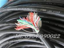 VINACAP Cáp điện thoại 30 đôi 30x2x0,5 - VINACAP
