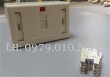 COMMSCOPE  Hộp nối điện thoại 1 cổng RJ11
