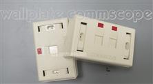 AMP/USA Ổ cắm mạng CAT5E 2 cổng RJ45 - AMP