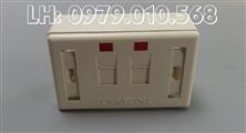 COMMSCOPE Mặt chữ nhật Wallplate COMMSCOPE 2 port